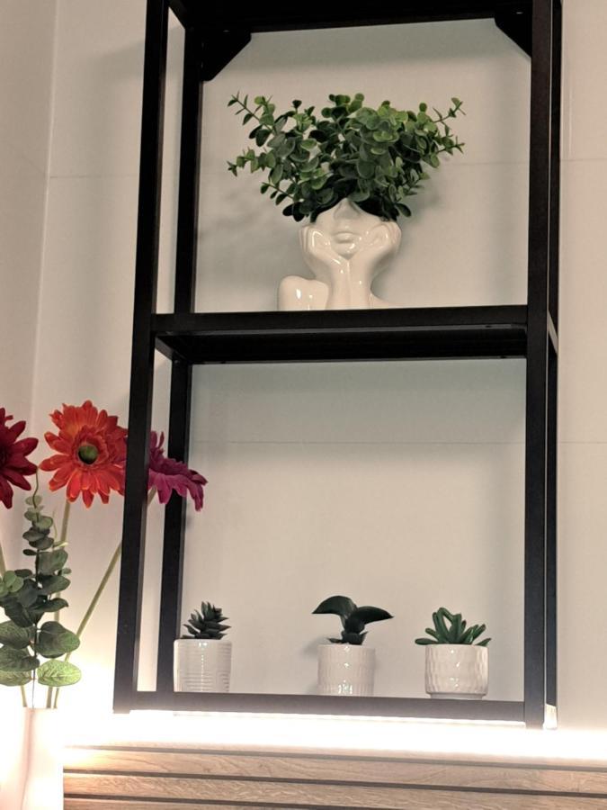 Apartament Deluxe-Gontalowy كاجيمير دولنه المظهر الخارجي الصورة